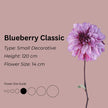 Blueberry Classic* - Mount Mera Botanical - Dahlia