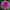 Caravaggio - Mount Mera Botanical - Dahlia