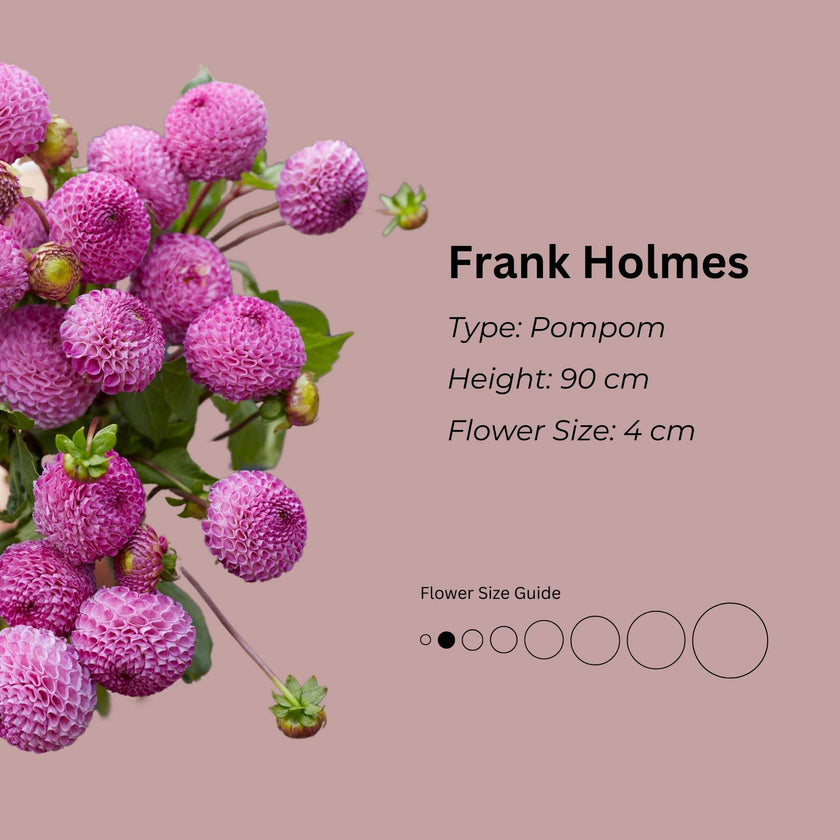 Frank Holmes * – Mount Mera Botanical