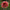 Gitt's Crazy - Mount Mera Botanical - Dahlia