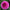 Laughing Lizzy - Mount Mera Botanical - Dahlia