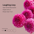 Laughing Lizzy * - Mount Mera Botanical - Dahlia