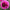 Laughing Lizzy - Mount Mera Botanical - Dahlia